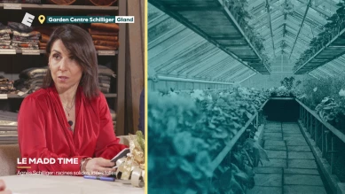 Agnès Schilliger: racines solides, idées folles