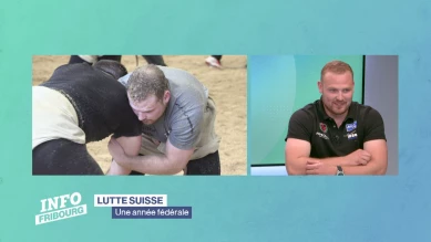 Une année de lutte suisse fédérale