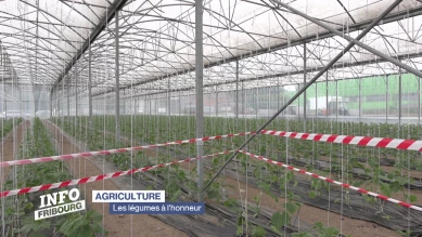 La Journée des Légumes cartonne