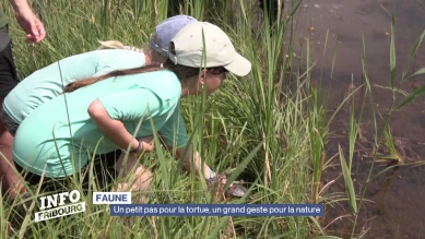Un petit pas pour la tortue, un grand geste pour la nature