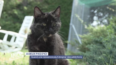 À deux pas d'ici: une naissance au Radeau