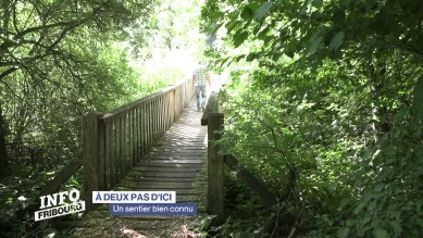 À deux pas d'ici: un sentier bien connu en Veveyse