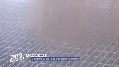 Du champ au silo : la course contre la montre