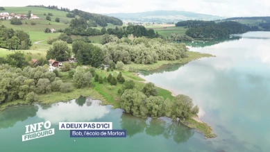 Bob, l'écolo de Morlon