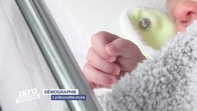 La fécondité chute