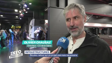 Bicubic: retour sur un projet osé mais nécessaire