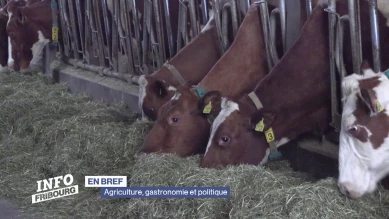 En bref: agriculture, gastonomie et politique