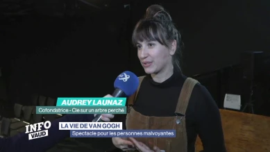 La vie de Van Gogh pour les malvoyants