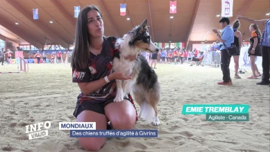 Des chiens truffés d'agilité à Givrins