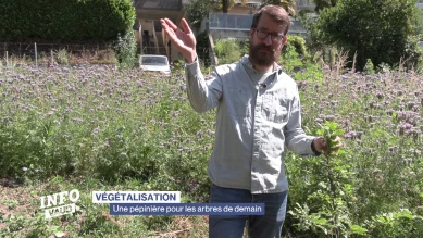 Une pépinière pour planter les arbres de demain