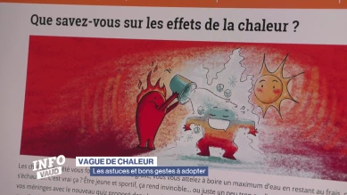 Vague de chaleur, les astuces et bons gestes à adopter