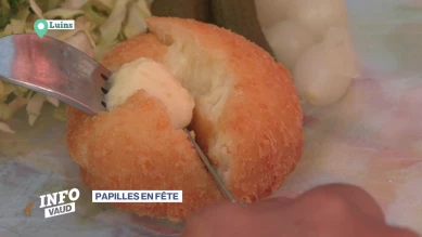 Papilles en fête: focus sur les Malakoffs