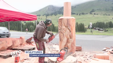 Ailyos, une cinquantaine d'artistes au total