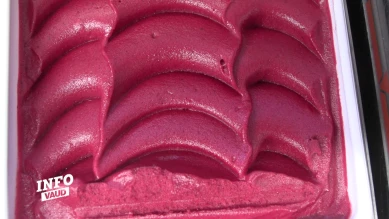 Oh Gelato, un glacier qui n'utilise que des produits locaux