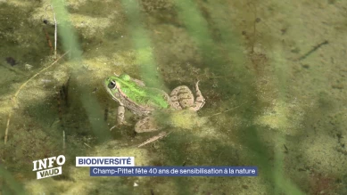Champ-Pittet fête 40 ans de sensibilisation à la nature