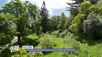 À la découverte de l'Arboretum du Vallon de l'Aubonne