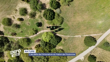 Les défis de l'Arboretum du Vallon de l'Aubonne
