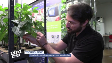 Une technologie pour comprendre les besoins des plantes