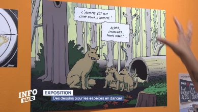 Des dessins pour les espèces en danger