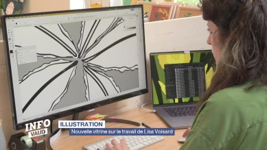 Une nouvelle vitrine sur le travail de Lisa Voisard