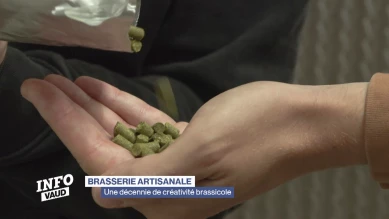 Une décennie de créativité brassicole