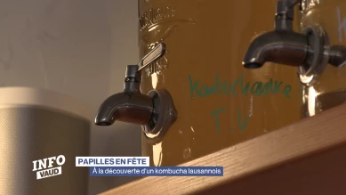 Papilles en fête - À la découverte d'un kombucha lausannois