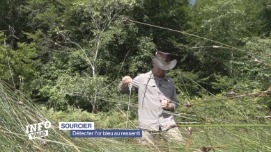 Sourcier: Détecter l'or bleu au ressenti
