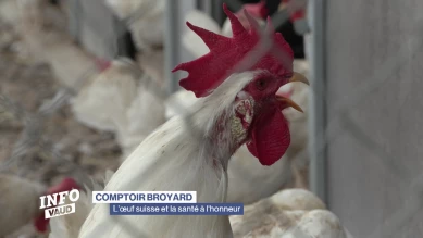 Comptoir broyard 2025: l’œuf suisse et la santé à l'honneur
