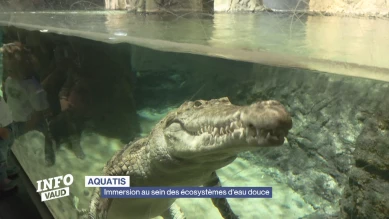 Immersion au sein des écosystèmes d'eau douce