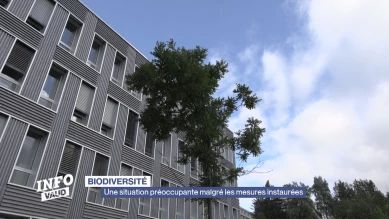 Biodiversité: Situation préoccupante malgré les mesures