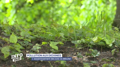 Dioxines, l'assainissement des sols va débuter