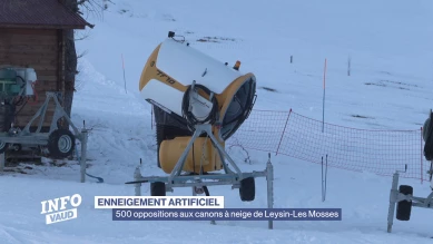 Oppositions aux canons à neige de Leysin-Les Mosses