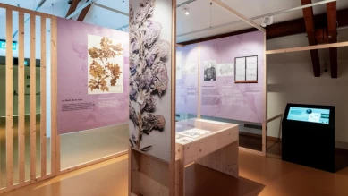 MHNF: 7e et dernière exposition sur la biodiversité fribourgeoise