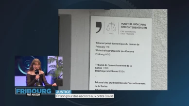Prison pour des escrocs aux prêts Covid