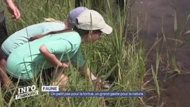 Un petit pas pour la tortue, un grand geste pour la nature