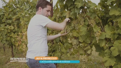 JAYA Prosecco : les nouvelles lettres de noblesse