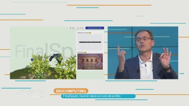 FinalSpark : l'avenir dans un coin de la tête