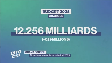 Les enjeux du budget 2025