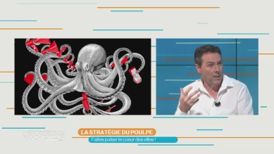 La stratégie du Poulpe