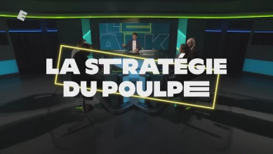 La stratégie du Poulpe