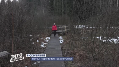 Travaux aux marais de Gurles