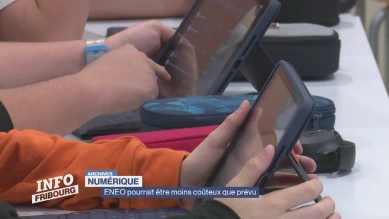 ENEO pourrait être moins coûteux que prévu