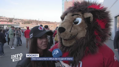 Du puck à l'écharpe : le LHC pour tous les goûts