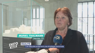 Les députés enterrent une stratégie d'égalité cantonale