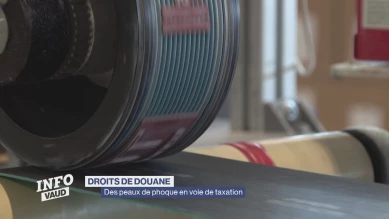 Douanes américaines: des peaux de phoque en voie de taxation