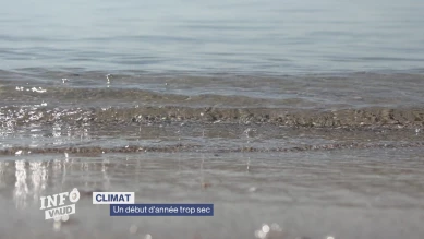 Un début d'année trop sec