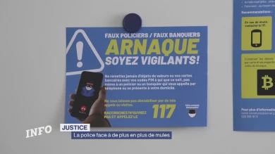 La police face à de plus en plus de mules