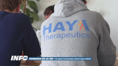 Les sciences de la vie, un géant économique sous-estimé