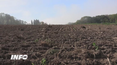 Bilan d'un été aride dans les champs