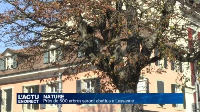 Près de 500 arbres seront abattus à Lausanne